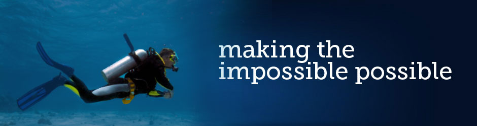 Services: making the impossible possible